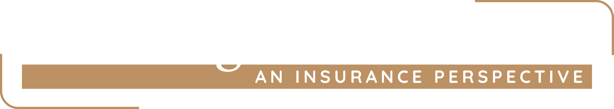 Reducing-Risks-in-M&A__Logo_White
